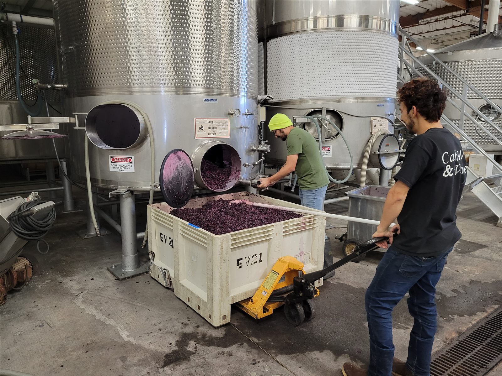 Winemakers emptying fermented grape skins from a stainless steel tank into a bin