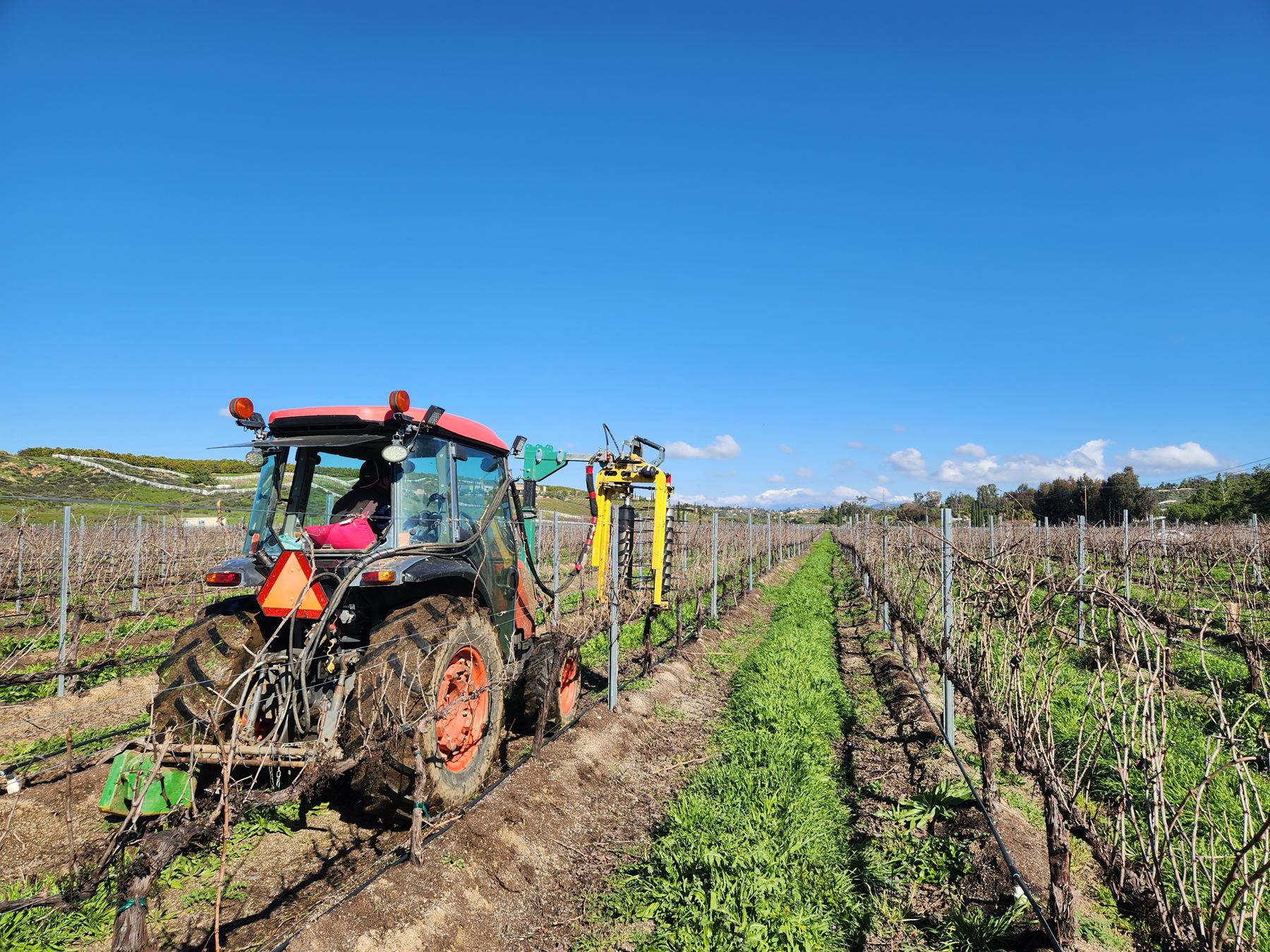 A tractor working between vine rows in winter